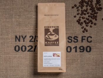 KOPI LUWAK